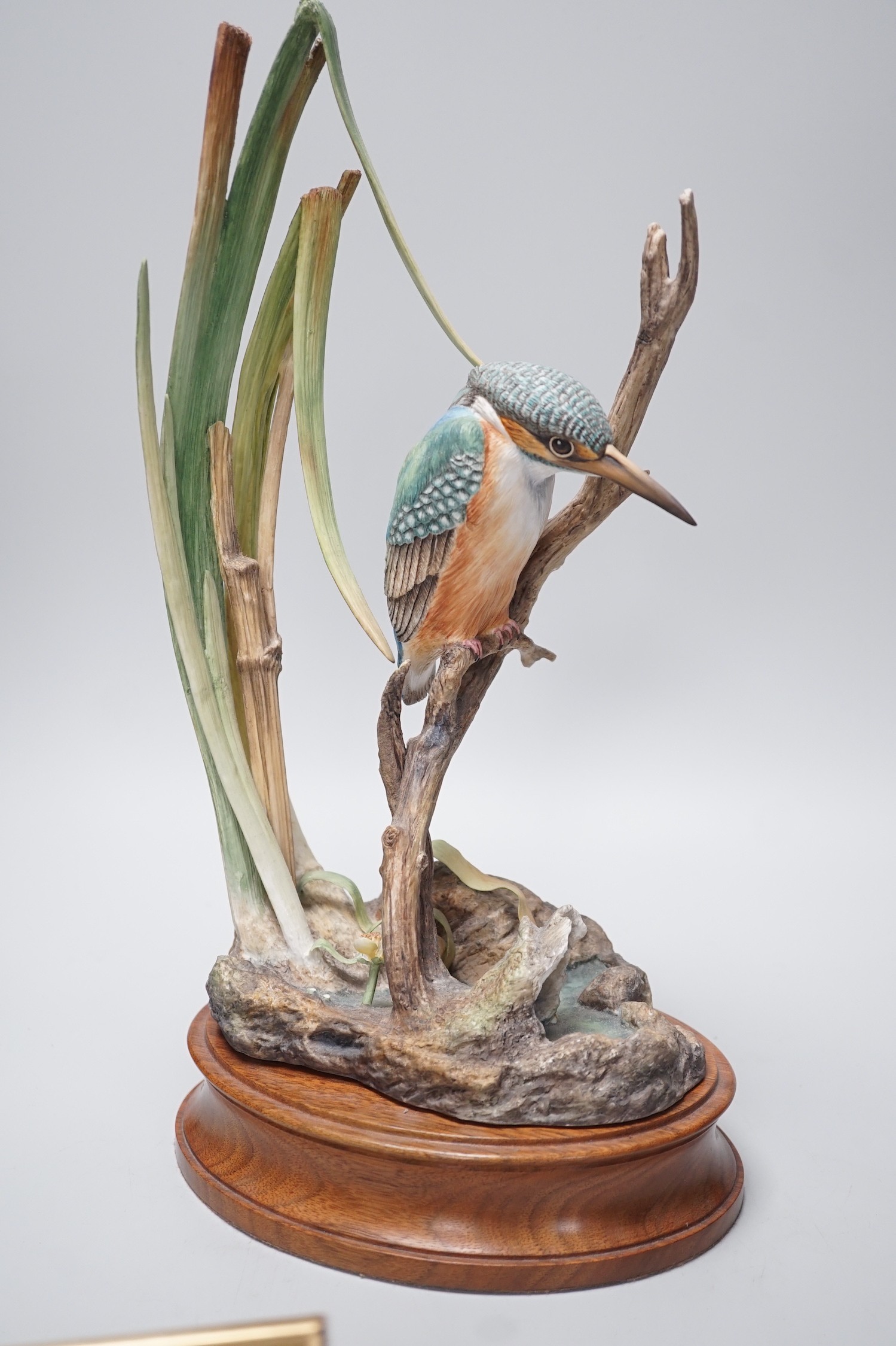 A musical John Peel jug and a Hereford Fine China kingfisher, together with its certificate. Tallest 36cm